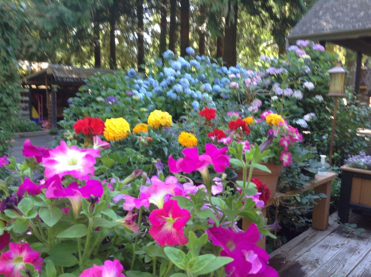 Tea Cozy Bed & Breakfast Qualicum Beach Exterior foto